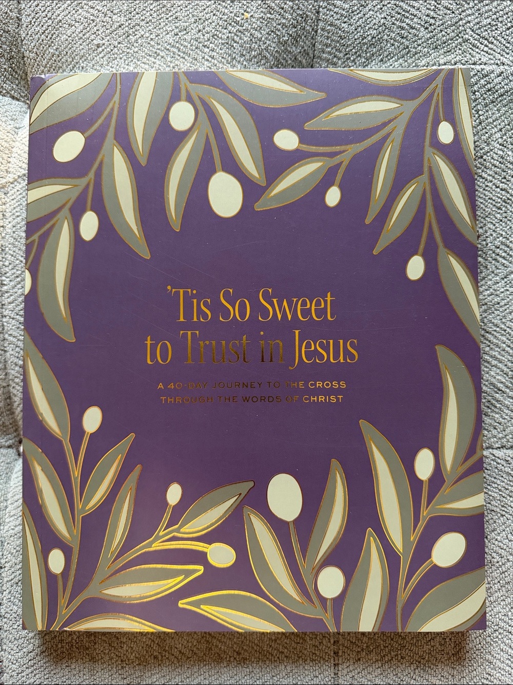 Daily Grace Co Study